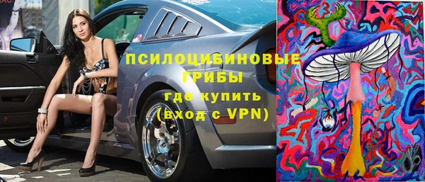 a pvp Володарск
